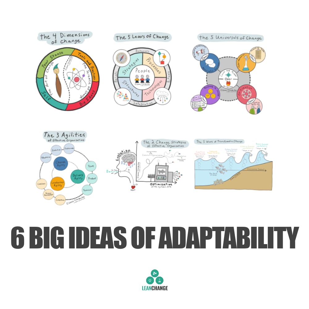 6 Big Ideas of Adaptive Organizations | Lean Change Element